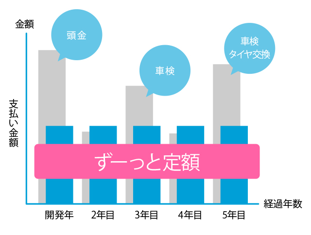 カーリースの説明